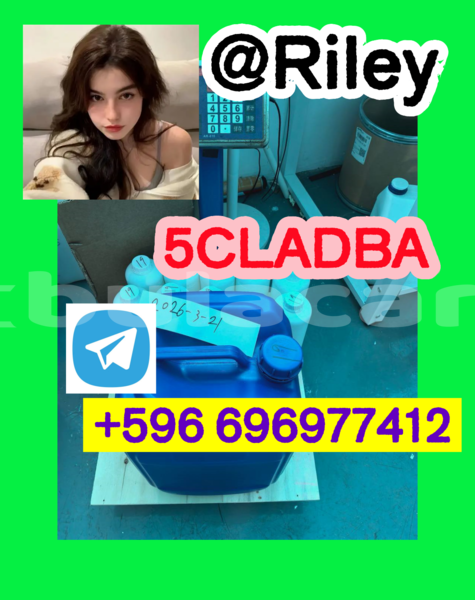 Big with watermark 3.4