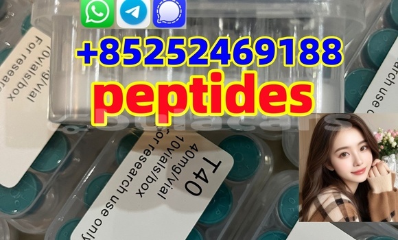 Medium with watermark 86ff5ebf 017e 4a7f 9f93 e05e335f64a2 %e5%89%af%e6%9c%ac %e5%89%af%e6%9c%ac