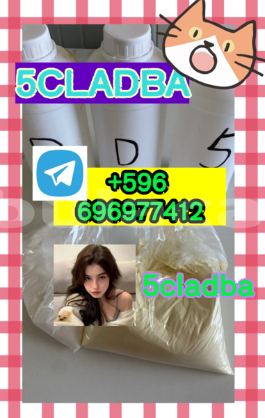 Big with watermark 3.9