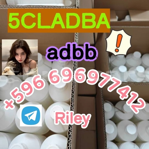 Big with watermark 4.9