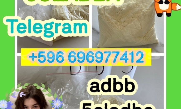 Medium with watermark 5.3