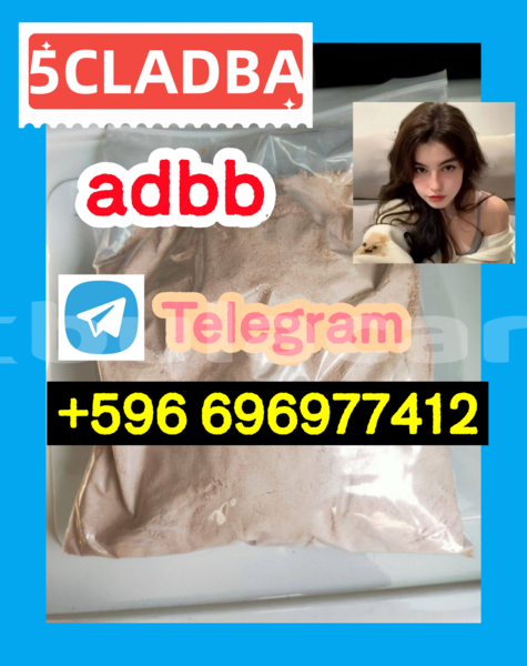 Big with watermark 3.7