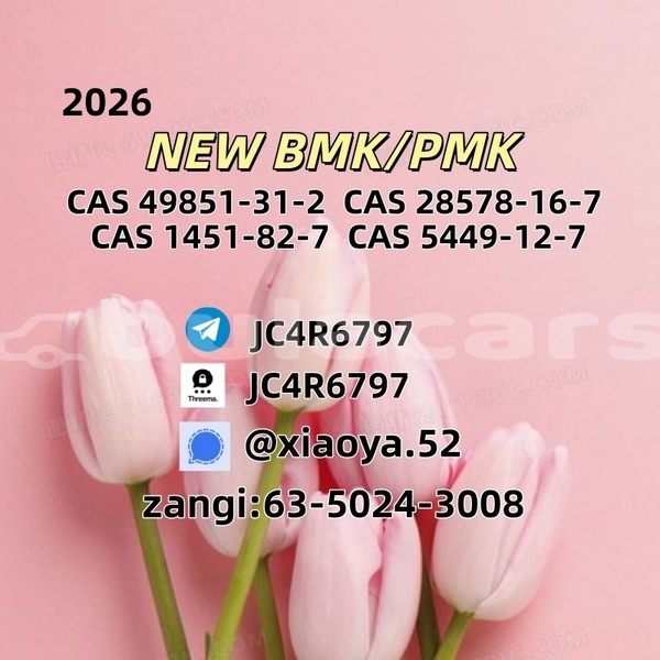 Big with watermark 1
