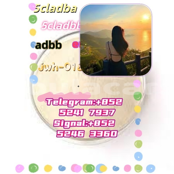 Big with watermark adler 1902 western ba 16488
