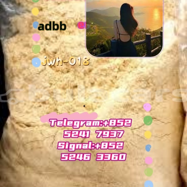 Big with watermark adler 1902 western ba 16497