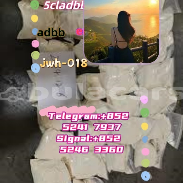 Big with watermark adler 1902 western ba 16499