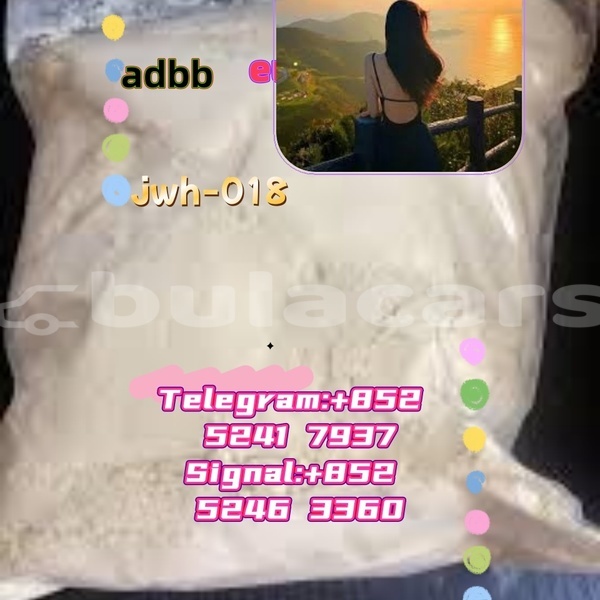 Big with watermark adler 1902 western ba 16505