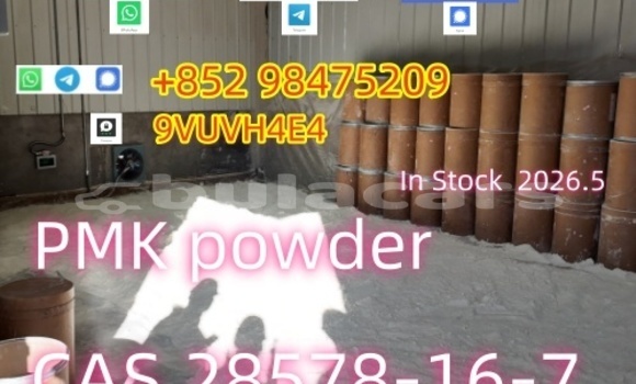 NEW PMK BMK CAS 5449-12-7