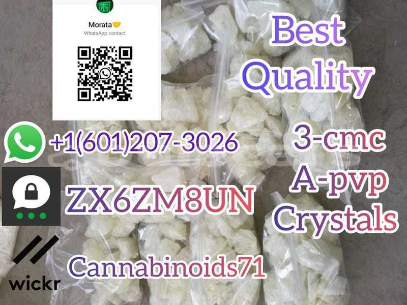 Big with watermark whatsapp image 2023 06 12 at 01.42.10 2 