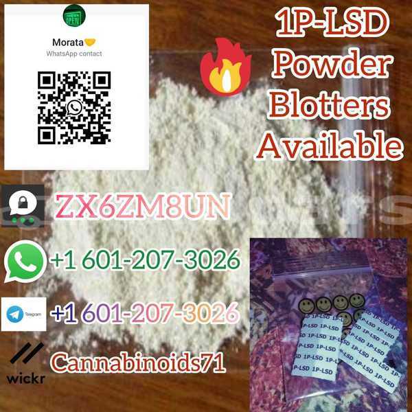 Big with watermark whatsapp image 2023 06 16 at 17.28.11