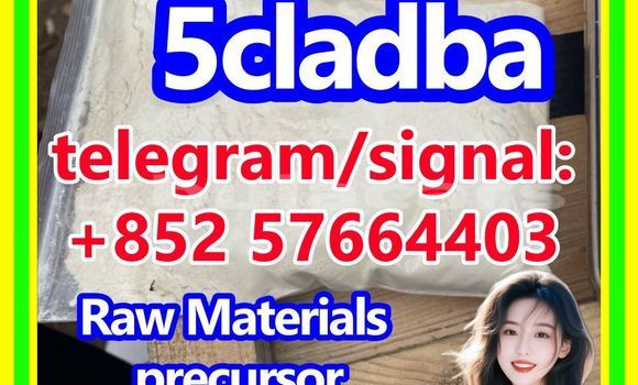 Medium with watermark 53