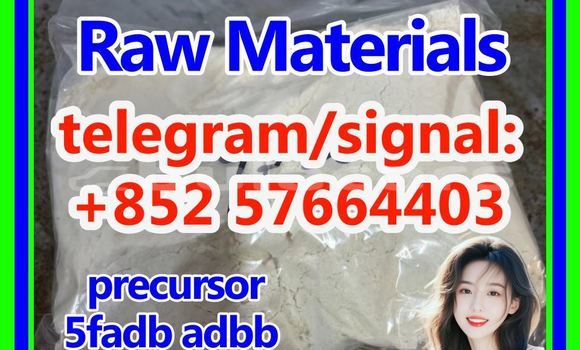 Medium with watermark 55