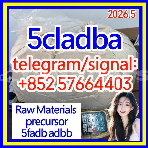 Big with watermark 56