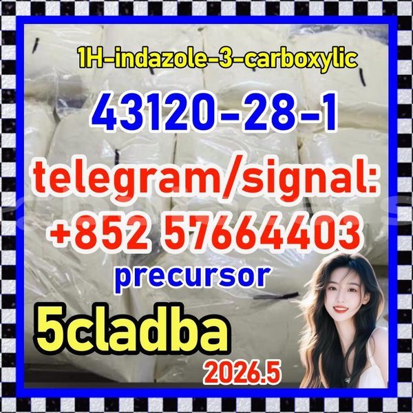 Big with watermark 43120
