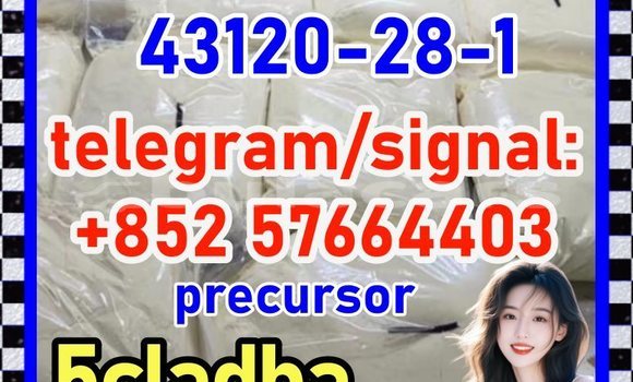 Medium with watermark 43120