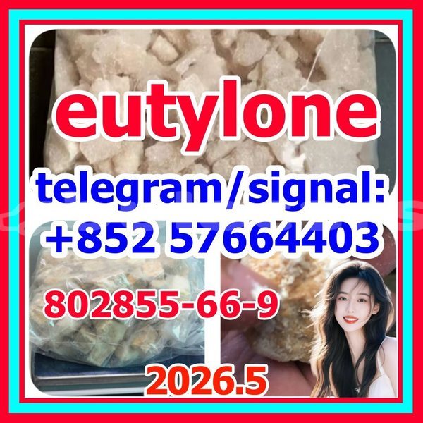 Big with watermark e2