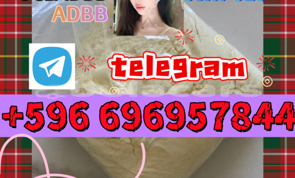 Medium with watermark 45455