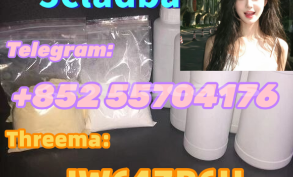 Medium with watermark f695cf5f 8e8a 4b73 9af0 89681cc6ea17