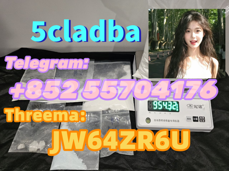 Big with watermark 1a4e6bf1 d8f0 4e7e 94a0 8a5bd870a2ca