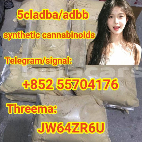 Big with watermark 10cf5ba5 440a 4ff9 baf7 a70215ec3738