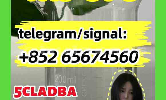 Buy CAS 1119-51-3 B in Komave in Western Buy CAS 1119-51-3 B in Komave in Western