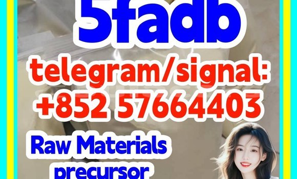 Medium with watermark 51