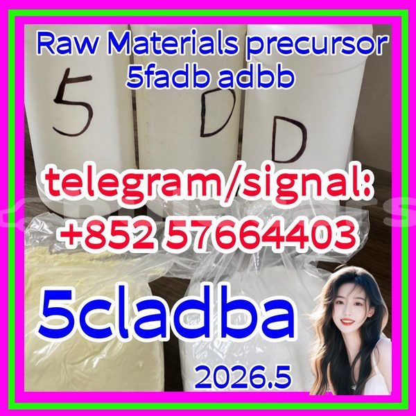 Big with watermark 511