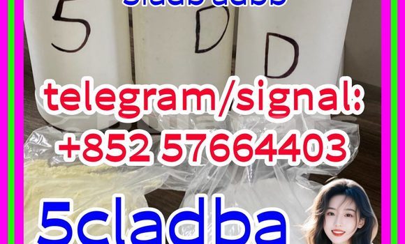 Medium with watermark 511