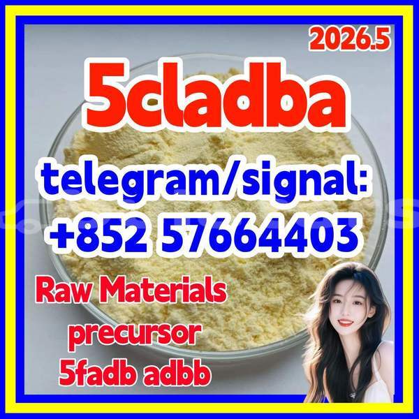 Big with watermark 510
