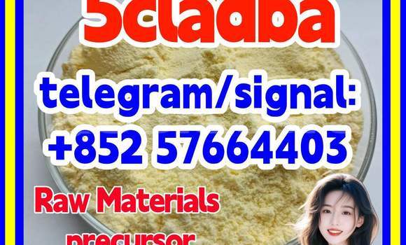 Medium with watermark 510