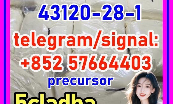 Medium with watermark 43120