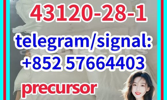 Medium with watermark 43121