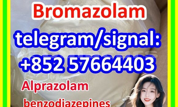 Medium with watermark b1