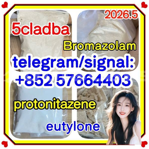 Big with watermark z1