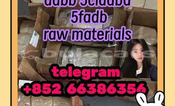 Medium with watermark 1