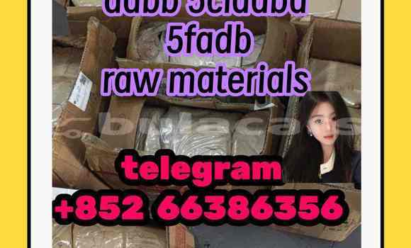 Medium with watermark 2