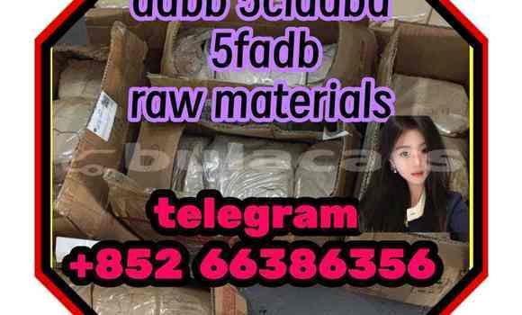 Medium with watermark 3