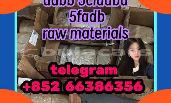 Medium with watermark 4