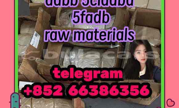 Medium with watermark 5