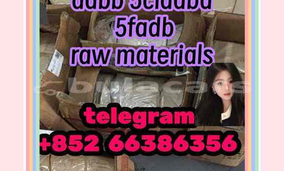 Medium with watermark 8