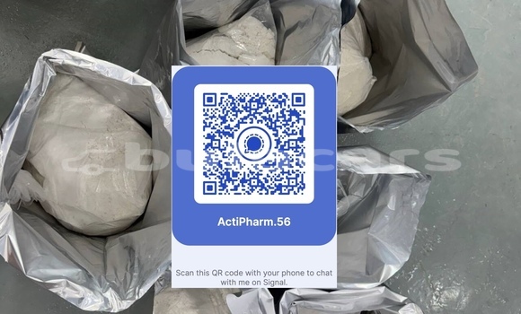Medium with watermark signal 2026 04 24 182626 copy