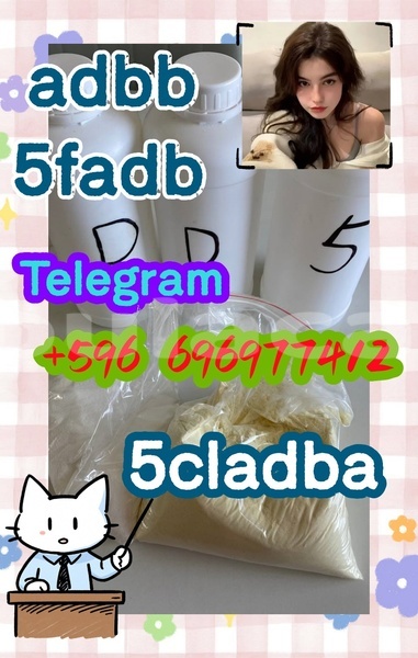 Big with watermark 1.8