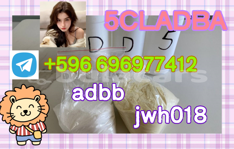 Big with watermark 6.4