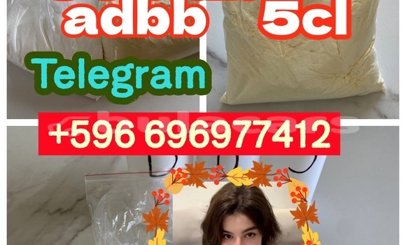Medium with watermark 1.9