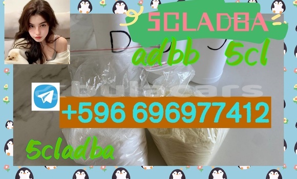Medium with watermark 1