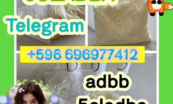 Medium with watermark 1.6