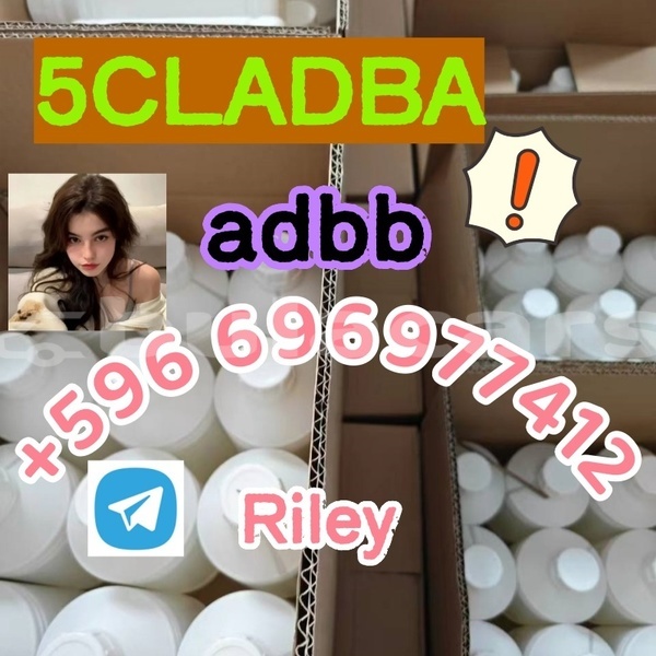 Big with watermark 2.0