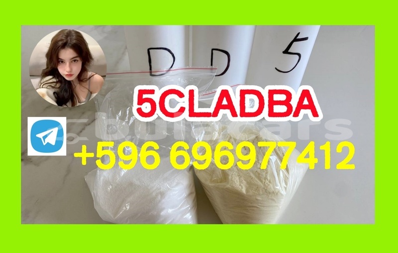 Big with watermark 3.5