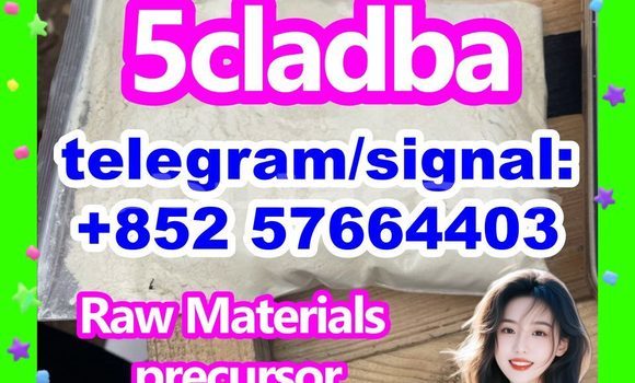 Medium with watermark 53