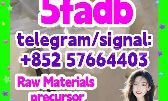 Medium with watermark 51